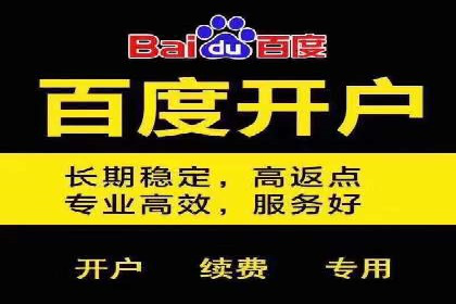 案例解读：百度推广代运营公司助力行业翘楚